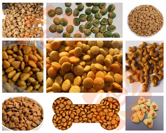 Linea di produzione di cibo per cani secco per animali domestici ad alte prestazioni Macchina per la lavorazione della produzione di pellet di cibo per pesci galleggiante estrusore
